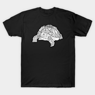 Turtle T-Shirt